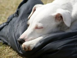 208823_10150929544638585_102838538_n_web